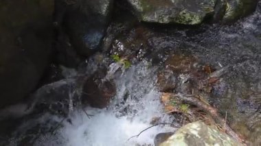 Yağmur ormanlarında kayaların üzerinden akan su