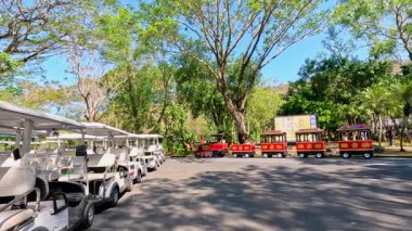 Bir tramvay Chonburi, Tayland 'da yemyeşil ve barışçıl bir atmosfer içeren yemyeşil bir hayvanat bahçesinde hareket ediyor.