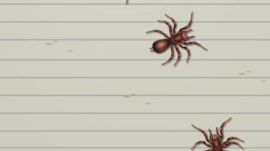 Duvarda çeşitli yönlerde sürünen örümcekler.