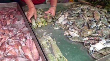 Sergi için çeşitli deniz ürünlerini buza dizen kişi