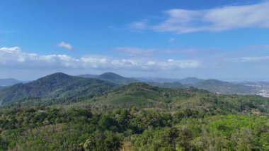 Havadan çekilen görüntüler yemyeşil tepeleri yakalıyor
