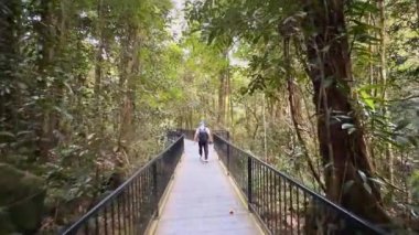 Bir adam ahşap bir patika boyunca yürüyor yemyeşil bir orman boyunca benekli güneş ışığıyla