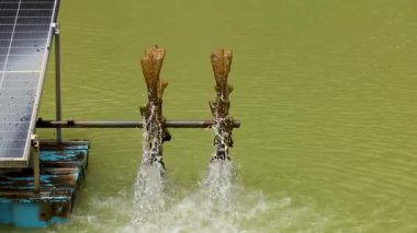 Güneş enerjisiyle çalışan bir su havacısı, sürdürülebilir enerji kullanımı ve su hareketlerini gösteren bir gölette çalışır.