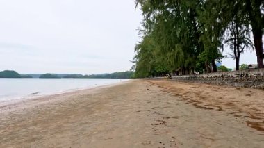 Tayland, Krabi 'de yemyeşil yemyeşil sakin bir sahil.