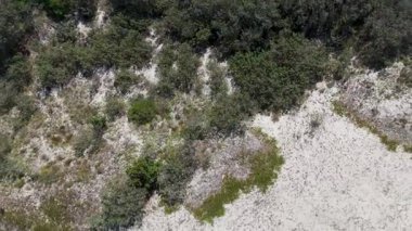 İnsansız hava aracı okyanus dalgaları, sahil ve kıyı bitkilerini yakalar.