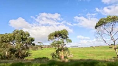 Avustralya 'da yemyeşil manzaralar ve açık gökyüzü