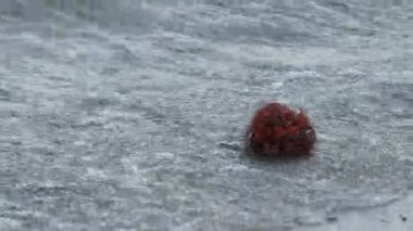 Bir kaya sürekli deniz dalgalarına dayanır.