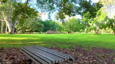 Yeşillik ve güneş ışığının ağaçların arasından süzüldüğü, Gold Coast, Avustralya 'da çekilen sakin bir park sahnesi.