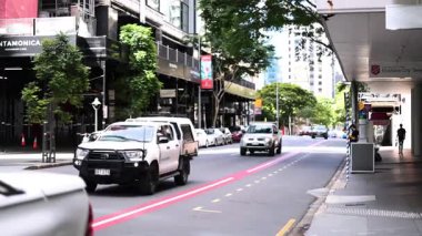 Araçlar ağaçlık bir cadde boyunca ilerliyor.