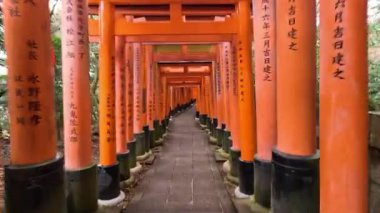 Canlı turuncu Torii kapılarından geçerek