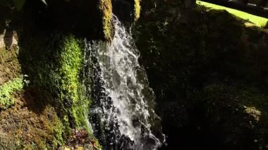Yosunlu kayaların üzerinden çağlayan şelale