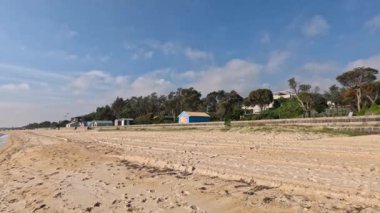 Okyanus ve ağaçlarla sakin sahil sahnesi