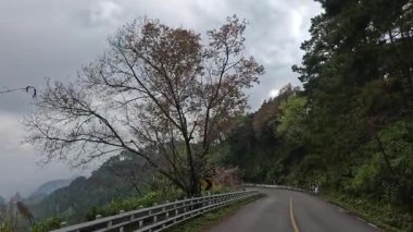 Dolambaçlı bir dağ yolunda motosikletliler