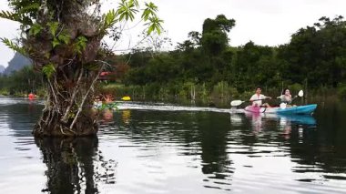 Kayakçılar yemyeşil bir çevrede sakin bir kanalı keşfediyorlar.