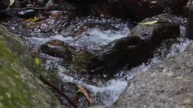 Deredeki kayaların üzerinden akan su.