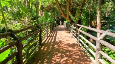 Bir insan Chonburi, Tayland 'da güneşli, yapraklı bir patika boyunca yürür, canlı yeşil ve huzurlu atmosferi yakalar.