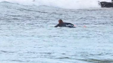 Sörfçü kürek çekiyor ve bir dalga yakalıyor