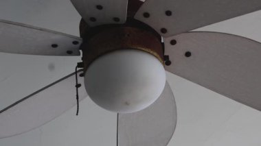 Bir tavan vantilatörü sabit bir hızda döner..