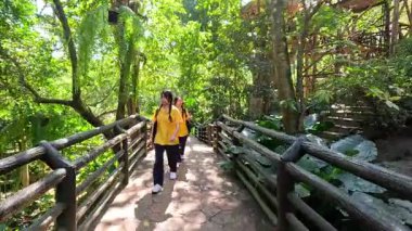 Yeşillik yollarında yürüyen öğrenciler