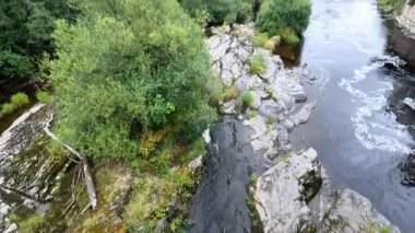 Bereketli yeşilliklerin arasından akan sakin bir nehir.