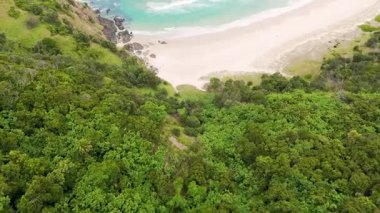 Kumsalın, dalgaların ve yeşilliğin havadan görünüşü