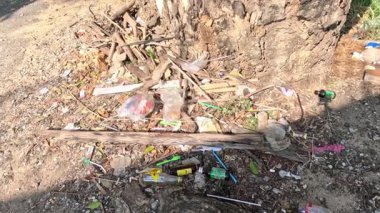 Organik ve plastik atıkların gelişimi