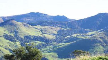 Berrak gökyüzünün altında yemyeşil tepeler ve uzak dağlar, 12 saniyelik sakin bir video sekansıyla çekildi.