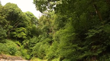 Glengoyne Damıtımevi, Glasgow, İskoçya