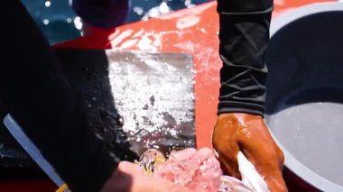 Bir insan Phuket, Tayland 'da bir teknede balık temizler ve hazırlar. Parlak güneş ışığı altında geleneksel tekniklerini sergiler.