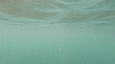 Sorrento kıyı şeridinde yüzen tekne