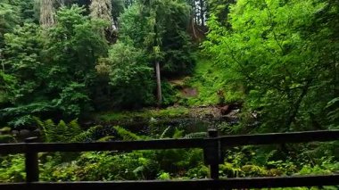 Dunkeld 'deki yemyeşil ve dingin nehir