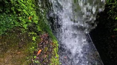 Su yemyeşil kayaların üzerinde çağlayarak akıyor.