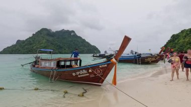 Turistler kumlu sahilde demirlemiş tekneleri keşfediyorlar.