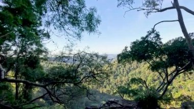 Su kayaların üzerinden yemyeşil ormana akar.