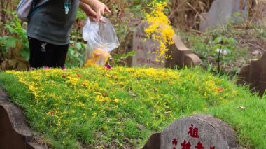 Sarı çiçekleri bir mezara serpiştirir.