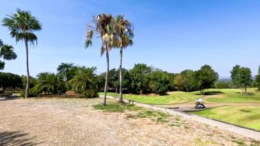 Bir golf arabası yemyeşil bir arazide hareket eder.