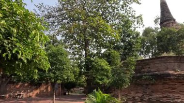 Tarihi bir tapınağın değişen ışıkla hızlandırılması