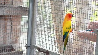 Güneş bir insanla etkileşime girer.