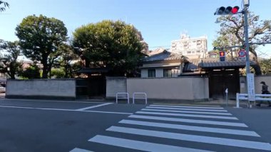 Boş yaya geçidi, trafik ışıkları ve şehir arkaplanı