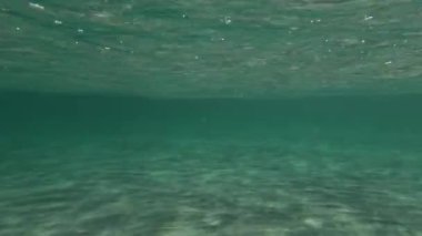 Dromana Rıhtımı 'nın temiz suları ve kumlu dibi