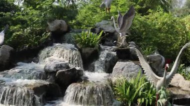 Kuşlar çağlayan bir şelalenin yakınında etkileşime girerler.