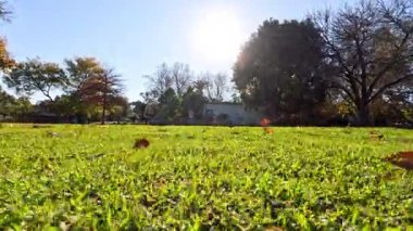 Ağaçlar ve çimlerle aydınlatılmış güneş parkı