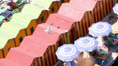 İnsanlar sahilde eğleniyor ve yüzüyor.