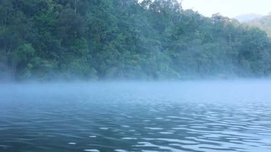 yemyeşil ormanlı sisli nehir