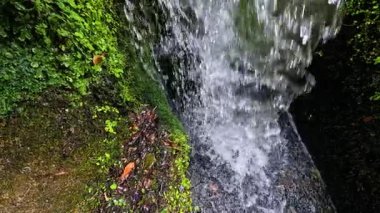Yosunlu kayaların ve yeşilliklerin üzerinden akan sular.
