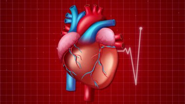 Animasyon kalp atışları, kırmızı şebeke arka planında ECG çizgisi ile ritmik olarak, kardiyovasküler fonksiyon ve sağlık izleme