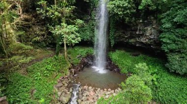 Dorrigo, NSW 'deki yemyeşil şelalenin ortasında sakin bir şelale yavaş çekimde yakalanır.