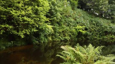 Glasgow 'da yemyeşil ve sakin bir nehir