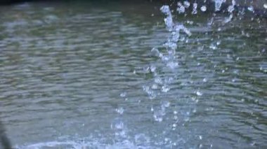 Melbourne Hayvanat Bahçesi 'ndeki çeşmeden su sıçrıyor.