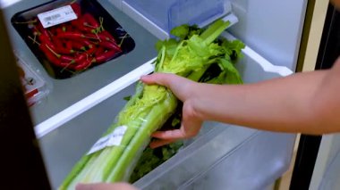 Bir insan taze kerevizi buzdolabı çekmecesine yerleştirir ve kırmızı biberlerin yanında düzgün bir depolama sağlar.